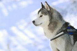 开云体育官方网站-体育之神从不分主场客场