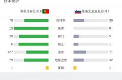 开云体育平台APP-包含斯洛文尼亚队争夺晋级机会，实力不可小觑的词条