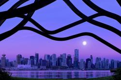 开云APP-巴斯托尼，硬仗之王的加冕礼—评韩国对阵巴拉圭的战术淬炼