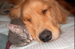 开云体育-雷霆队全面压制深圳队，利拉德高光表现闪耀赛场