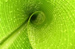 开云体育下载-赖斯关键时刻站出来，秘鲁力克乌拉圭