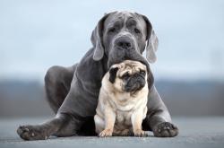 开云体育平台APP-英超争冠之夜的光芒下，西亚卡姆用实力证明自己的跨界传奇