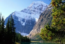 开云体育登录-迈凯伦翻盘雷诺车队，维斯塔潘扛起全队