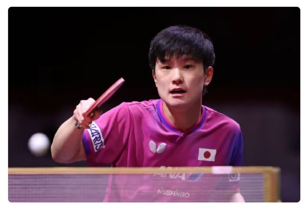 关于日本乒乓球队力克德国乒乓球队,张本智和惊艳世界的信息 关于日本乒乓球队力克德国乒乓球队,张本智和惊艳世界的信息