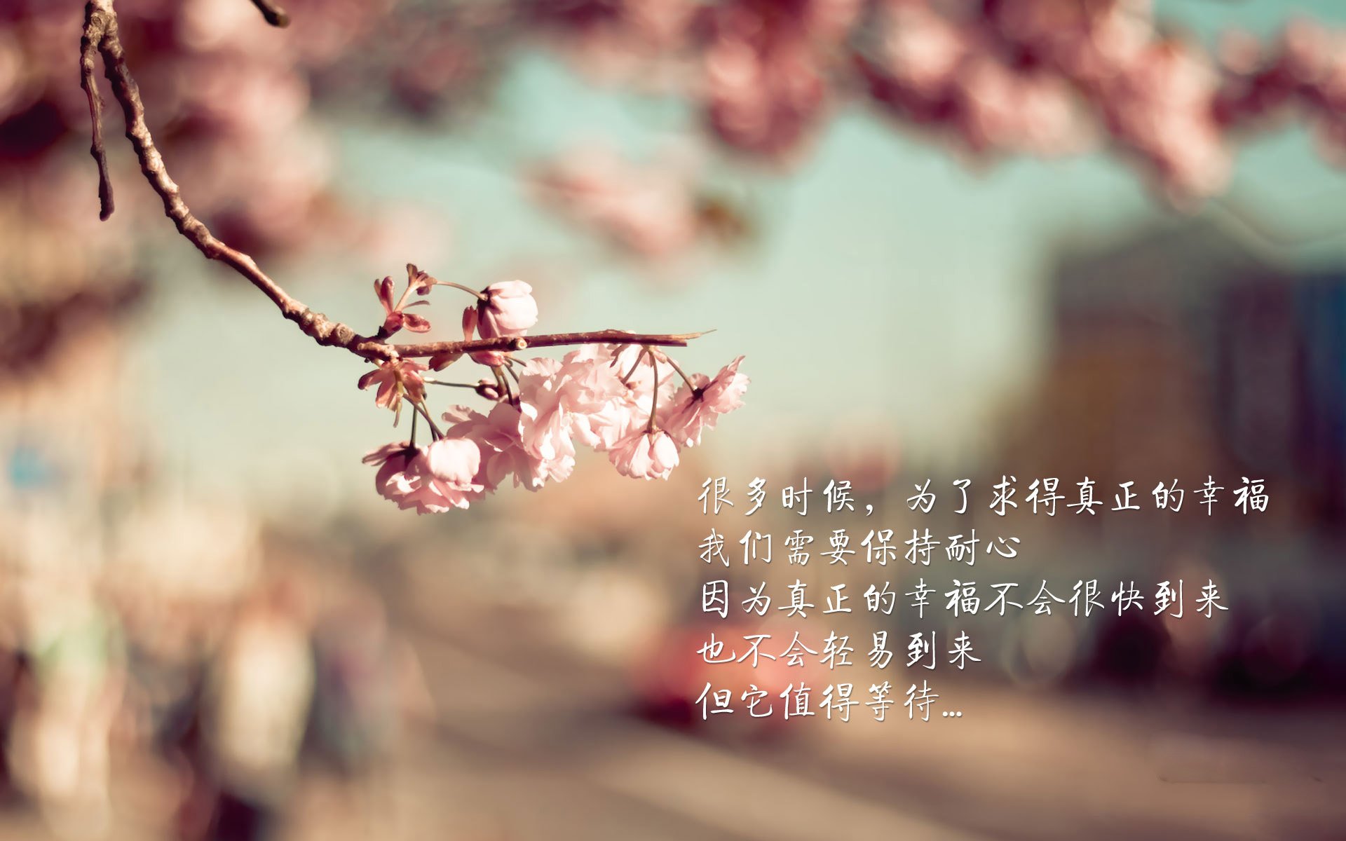 布克狂轰38分11助攻,奇才客场拔旗踏平浙江