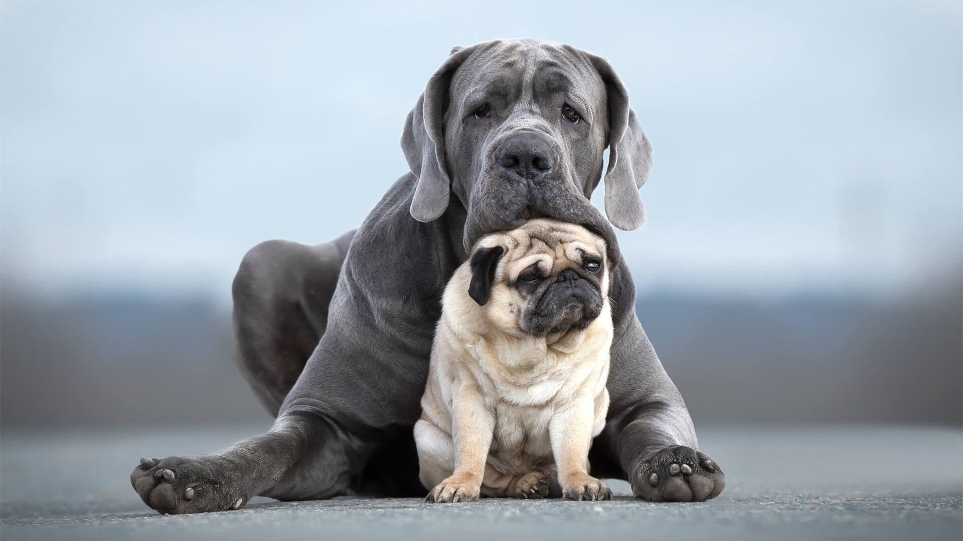 英超争冠之夜的光芒下,西亚卡姆用实力证明自己的跨界传奇