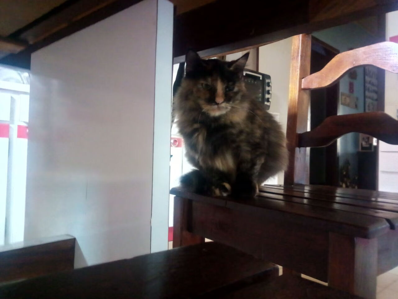 欧洲足球变天记，英超白热化，德意暗战涌动