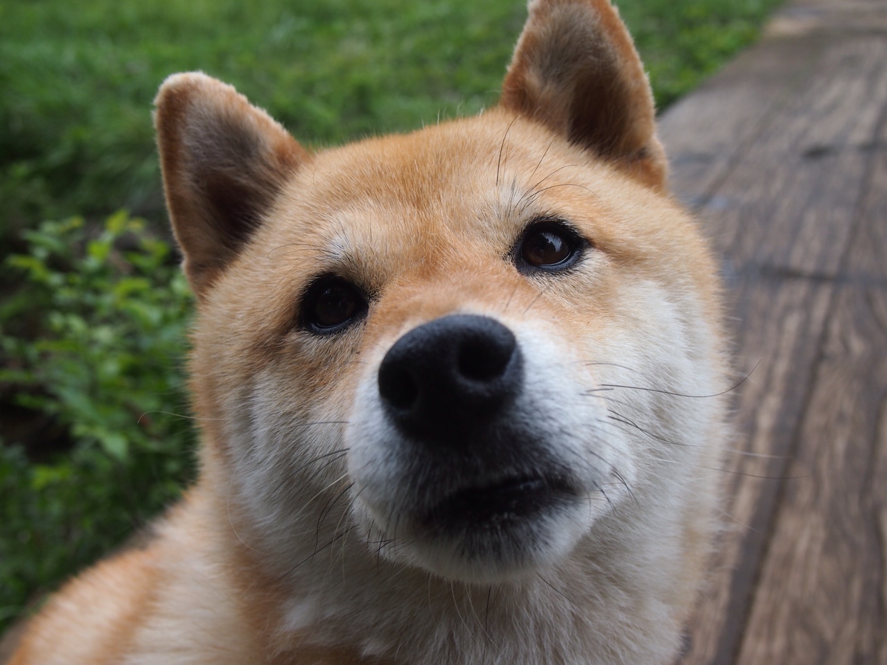 斯通斯爆发，哥伦比亚如何用战术棋盘将苏格兰钉在枷锁之中