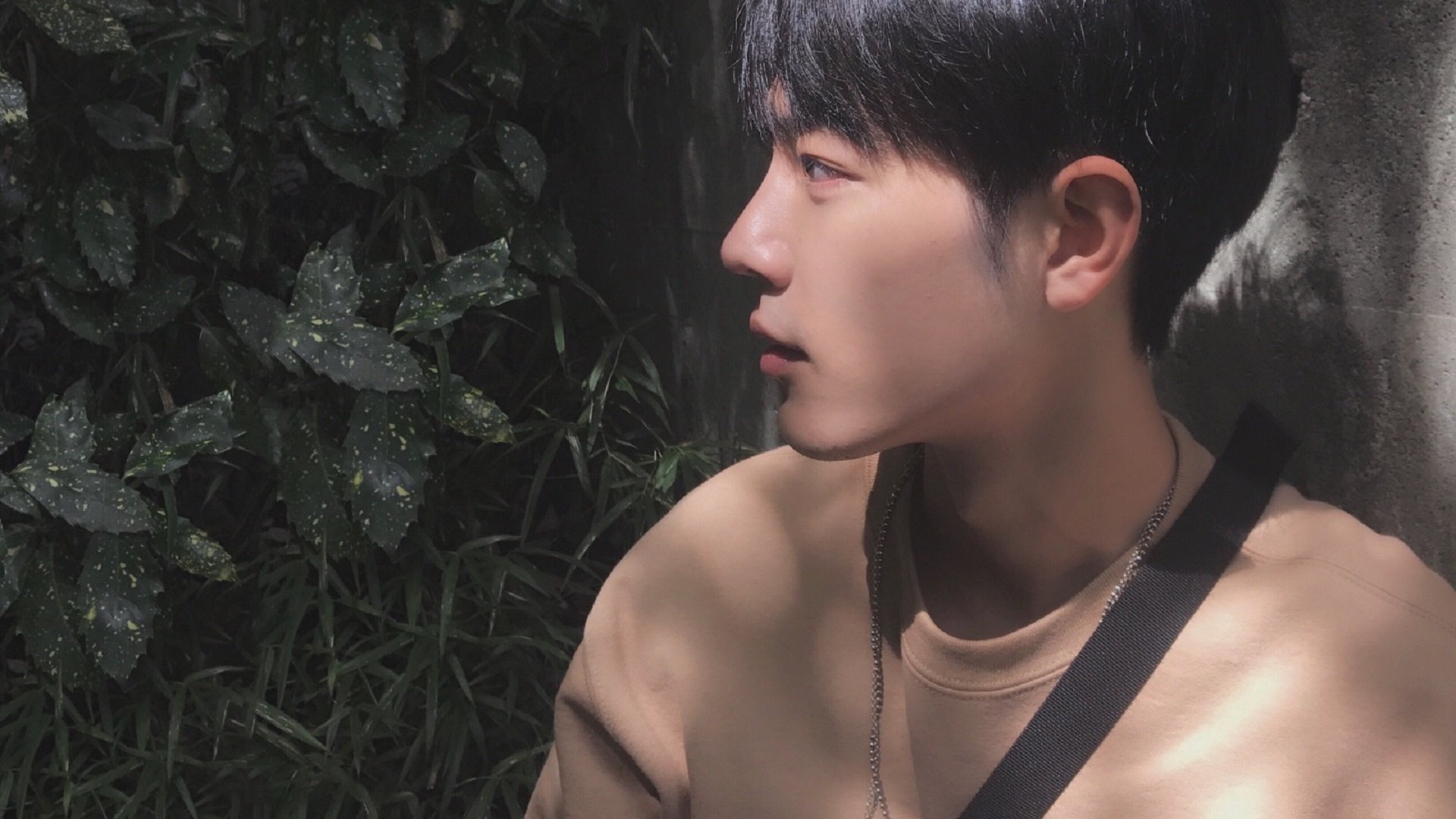 钢铁中卫斯通斯，2026世界杯之夜的不落防线