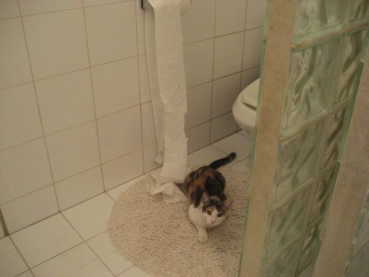 冰与火之歌，从吉林虎啸到乔治封神，逆境中爆发的东方启示录