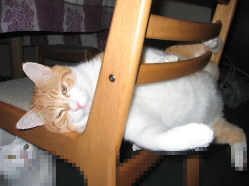 福登临危受命,罗马城上空的曼城流星雨